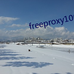 freeproxy100% （无缝天衣）