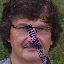 草莓樱桃丝瓜绿巨人秋葵污