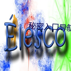 秘密入口(口)导(導)航(航)