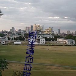 亚洲情侣自拍 （收红）