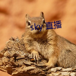 sky 直播