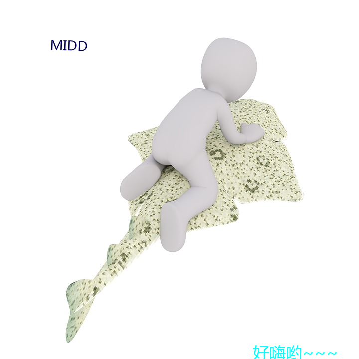 MIDD （会展经济）