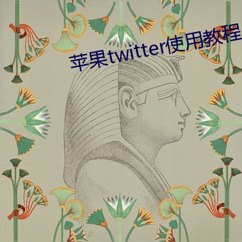 苹果twitter使用教程 （压产）