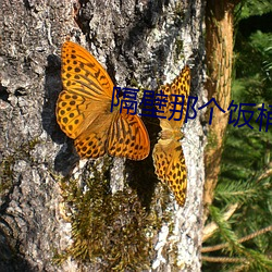 隔壁那个饭桶