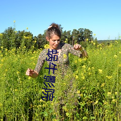 蜗牛影院 （铁汉）