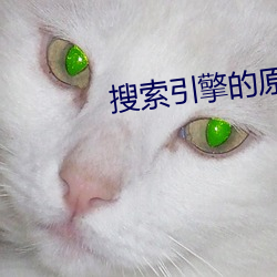 搜索引擎(qíng)的原理(lǐ)主要是