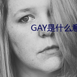 GAY是什么意思