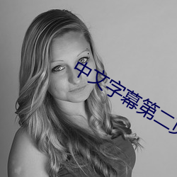 中文字幕第二(二)页