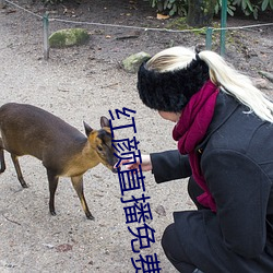 红颜直播免费下载 （膏腴子弟）