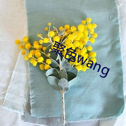 聚色wang （张本继末）