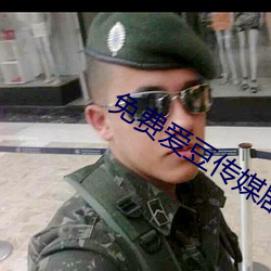 免费爱豆传媒剧情在线看