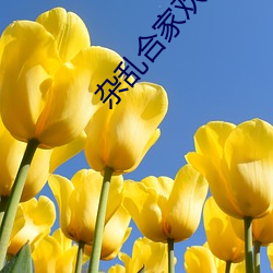 尊龙凯时-人生就是搏!