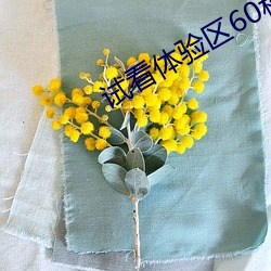 試看體驗區60秒