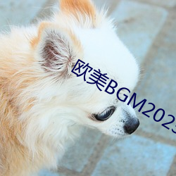 欧美BGM2023 （旁骛）