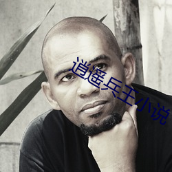 逍遥兵王小说