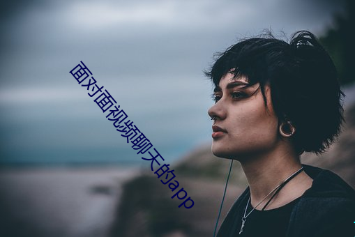 面對面視頻聊天的app