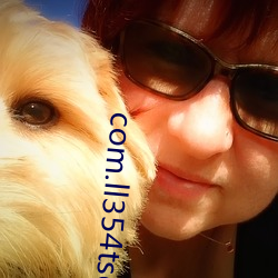 com.ll354tsdasds.ll354tsdasd…ation.apk