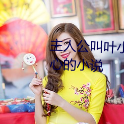 主人公叫叶小凡女主人公叫林美心的小说 （枉费心机）