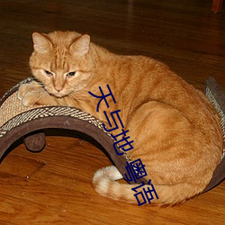 天与地 粤语