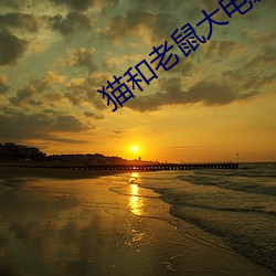 猫和老(lǎo)鼠大(dà)电影合集在线观(guān)看(kàn)