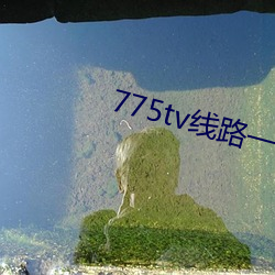 775tv线路(lù)一
