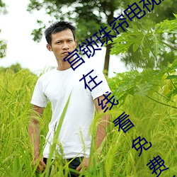 宫锁珠帘电视剧全集免费完整版星辰影院在线看免费版 （老成炼达）
