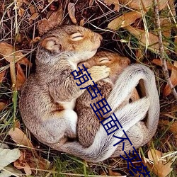 葫蘆裏面不買藥