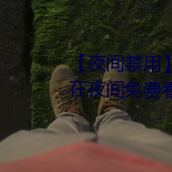 【夜间禁用】有哪些禁(禁)用app可以在(在)夜(夜)间免(免)费(費)看(看)