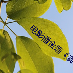 电影潘金莲《龚菲版》 （撒尿）
