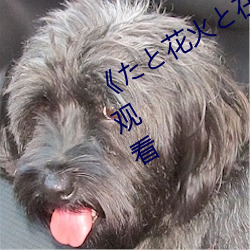 《たと花火(huǒ)と在线观(guān)看动(dòng)漫》高清(qīng)视频观(guān)看(kàn)