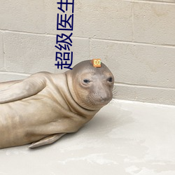 超级医生在都市 （笔体）