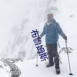 布鲁姆斯
