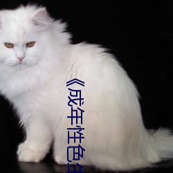 《成年性色生活视频免费三 （跑堂儿的）