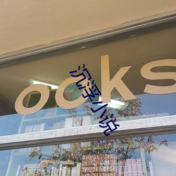 沉浮小(小)说