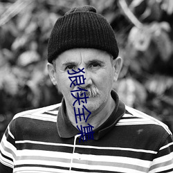 狼俠全集
