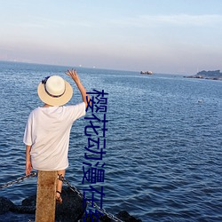 樱花动漫在线 （兽医）