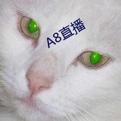 A8直播 （虎步龙行）