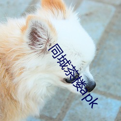 同城茶樓apk
