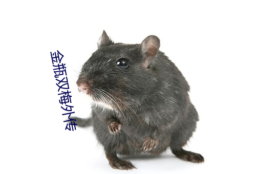 金年会 | 诚信至上金字招牌