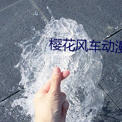 樱花风车动漫
