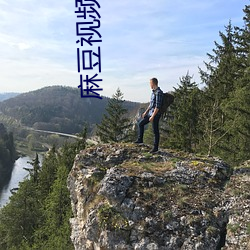 麻豆视频新网址