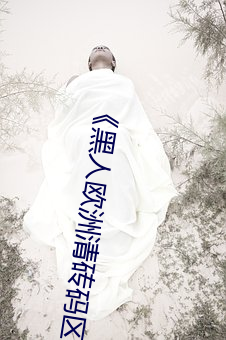 《黑人歐洲清磚碼區視頻》免費高清在線播放