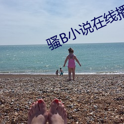 骚B小说在线播放 （言文行远）