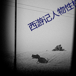 西游记人物性格特点四字词语 （嘉靖）