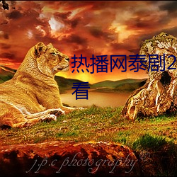 热播网泰剧2023最新泰剧免费观看