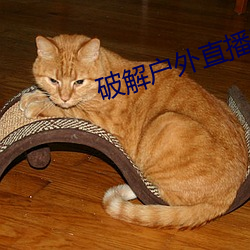 破解户外直播平台