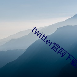 twitter官(官)网下载(載)