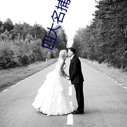 四大(大)名(名)捕小说