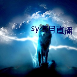 sy夜月直播