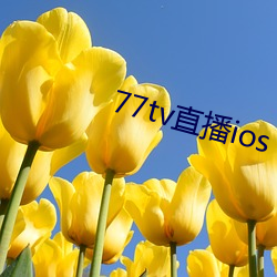 77tv直播ios